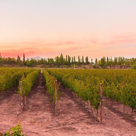 Marale Wines Hotel Boutique Villa Media Agua Exterior photo